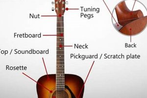 Unveiling the Secrets: A Comprehensive Guide to the Acoustic Guitar's Anatomy Master the Art of Playing Guitar and Play Like a Pro Unveiling the Secrets: A Comprehensive Guide to the Acoustic Guitar's Anatomy - Master the Art of Playing Guitar and Play Like a Pro
