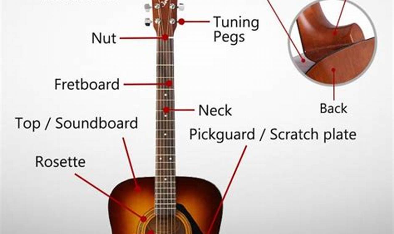 Unveiling the Secrets A Comprehensive Guide to the Acoustic Guitar's