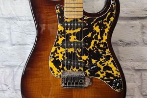 Unleash the Legacy: Discoveries in Tradition Electric Guitar Master the Art of Playing Guitar and Play Like a Pro Unleash the Legacy: Discoveries in Tradition Electric Guitar - Master the Art of Playing Guitar and Play Like a Pro