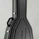 Unveiling the Secrets of Guitar Cases: A Deep Dive for Acoustic Guitarists - Master the Art of Playing Guitar and Play Like a Pro