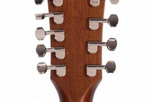 Unveiling the 9 String Acoustic Guitar: A Journey of Discovery and Innovation - Master the Art of Playing Guitar and Play Like a Pro