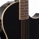 Unveiling the Thinline Electric Acoustic Guitar: A Sonic Fusion Awaits - Master the Art of Playing Guitar and Play Like a Pro