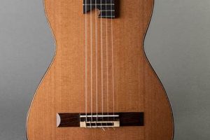 Unveil the Nylon String Parlour Guitar's Enchanting Embrace - Master the Art of Playing Guitar and Play Like a Pro