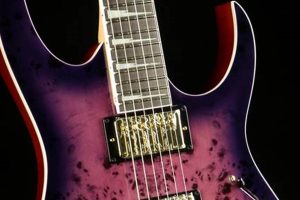 Unveil the Secrets of the Ibanez Electric Guitar in Purple: A Journey of Discovery - Master the Art of Playing Guitar and Play Like a Pro