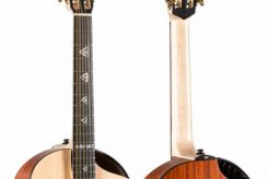 Unleash the Enchanting World of 12-String Acoustic Guitars: Discoveries Await! Master the Art of Playing Guitar and Play Like a Pro Unleash the Enchanting World of 12-String Acoustic Guitars: Discoveries Await! - Master the Art of Playing Guitar and Play Like a Pro