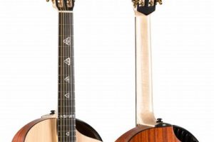 Unleash the Enchanting World of 12-String Acoustic Guitars: Discoveries Await! Master the Art of Playing Guitar and Play Like a Pro Unleash the Enchanting World of 12-String Acoustic Guitars: Discoveries Await! - Master the Art of Playing Guitar and Play Like a Pro