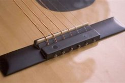 Unveil the Secrets of Acoustic Guitar Bridges: Uncover Hidden Tonal Treasures Master the Art of Playing Guitar and Play Like a Pro Unveil the Secrets of Acoustic Guitar Bridges: Uncover Hidden Tonal Treasures - Master the Art of Playing Guitar and Play Like a Pro