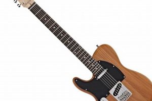Unveiling the Enigmatic World of Left-Handed 12-String Electric Guitars - Master the Art of Playing Guitar and Play Like a Pro