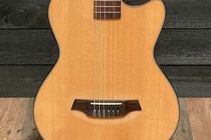 Unveil the Sonic Alchemy of Solid Body Nylon String Guitars: Discoveries and Insights for the String Niche - Master the Art of Playing Guitar and Play Like a Pro