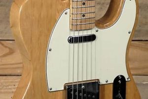 Unveiling "new york pro electric guitar": A Journey of Discovery and Inspiration - Master the Art of Playing Guitar and Play Like a Pro