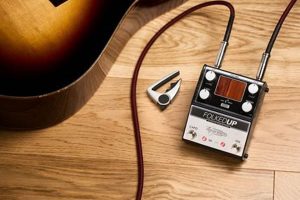 Fuzztastique Acoustic: Uncover the Secrets of Acoustic Guitar Fuzz - Master the Art of Playing Guitar and Play Like a Pro