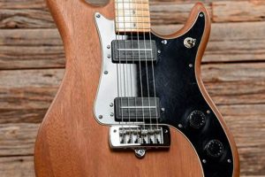 Unveiling the Peavey Patriot: A Journey of Discovery and Sonic Delights - Master the Art of Playing Guitar and Play Like a Pro