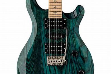 Unveiling the Secrets of the PRS SE Swamp Ash Special: An Electrifying Revelation - Master the Art of Playing Guitar and Play Like a Pro