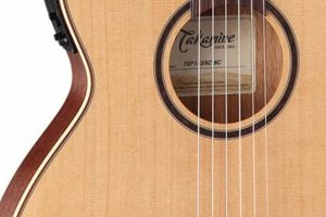 Unveil the Secrets: Takamine Guitar Nylon Strings Explored - Master the Art of Playing Guitar and Play Like a Pro