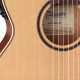 Unveil the Secrets: Takamine Guitar Nylon Strings Explored - Master the Art of Playing Guitar and Play Like a Pro