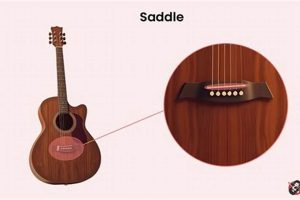 Unveiling the Secrets of Acoustic Guitar Saddle Direction: Discoveries and Insights Master the Art of Playing Guitar and Play Like a Pro Unveiling the Secrets of Acoustic Guitar Saddle Direction: Discoveries and Insights - Master the Art of Playing Guitar and Play Like a Pro