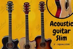 Acoustic Guitar Slim: Your Guide to Unparalleled Sound and Playability - Master the Art of Playing Guitar and Play Like a Pro