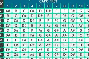 Unlock the Secrets of Guitar Capo Chord Charts: Transform Your Playing Today Master the Art of Playing Guitar and Play Like a Pro Unlock the Secrets of Guitar Capo Chord Charts: Transform Your Playing Today - Master the Art of Playing Guitar and Play Like a Pro
