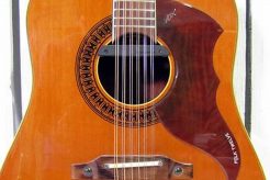 Unveiling the Sonic Soul of Vox Acoustic Guitars: A Journey of Discovery Master the Art of Playing Guitar and Play Like a Pro Unveiling the Sonic Soul of Vox Acoustic Guitars: A Journey of Discovery - Master the Art of Playing Guitar and Play Like a Pro