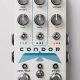 Unleash the Condor: Discover the Ultimate Distortion Pedal - Master the Art of Playing Guitar and Play Like a Pro