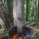 Waterloo Acoustic Guitar: Uncover Hidden Gems and Sonic Delights - Master the Art of Playing Guitar and Play Like a Pro