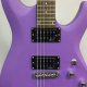 Unleash the Electric Purple Guitar: Discoveries and Insights for the Electric Niche - Master the Art of Playing Guitar and Play Like a Pro