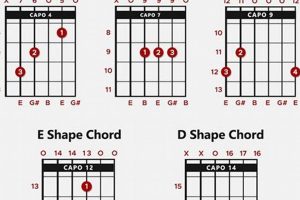 Unleash the Power of E Chord Variations: A Guitarist's Guide to Harmonic Mastery Master the Art of Playing Guitar and Play Like a Pro Unleash the Power of E Chord Variations: A Guitarist's Guide to Harmonic Mastery - Master the Art of Playing Guitar and Play Like a Pro