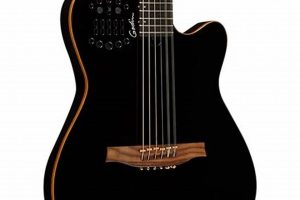 Unleash the Enchanting World of 10 String Acoustic Guitars - Master the Art of Playing Guitar and Play Like a Pro