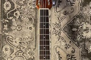 Discover the Allure of Applause Electric Acoustic Guitars: A Journey of Sound and Versatility Master the Art of Playing Guitar and Play Like a Pro Discover the Allure of Applause Electric Acoustic Guitars: A Journey of Sound and Versatility - Master the Art of Playing Guitar and Play Like a Pro