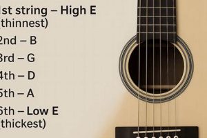 Discover the Secrets of Guitar Strings: Unveiling the Order and Beyond Master the Art of Playing Guitar and Play Like a Pro Discover the Secrets of Guitar Strings: Unveiling the Order and Beyond - Master the Art of Playing Guitar and Play Like a Pro
