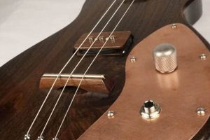 Unleash the Secrets: Discover the 3 String Electric Guitar Master the Art of Playing Guitar and Play Like a Pro Unleash the Secrets: Discover the 3 String Electric Guitar - Master the Art of Playing Guitar and Play Like a Pro