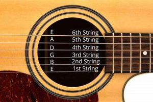 Unveiling the Secrets: Unraveling the Names of the Guitar's Strings - Master the Art of Playing Guitar and Play Like a Pro