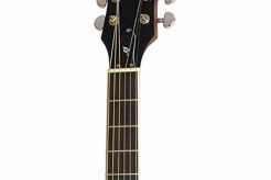 Unveiling the Best Electro Acoustic Guitar Under $300: A Journey to Sound Nirvana - Master the Art of Playing Guitar and Play Like a Pro
