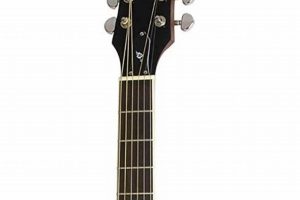Unveiling the Best Electro Acoustic Guitar Under $300: A Journey to Sound Nirvana - Master the Art of Playing Guitar and Play Like a Pro