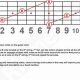 Unleash the Power of Octave Chords on Guitar: Discoveries and Insights - Master the Art of Playing Guitar and Play Like a Pro
