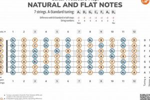 Unlock the Sonic Spectrum: The Ultimate 7-String Guitar Mastery Guide - Master the Art of Playing Guitar and Play Like a Pro