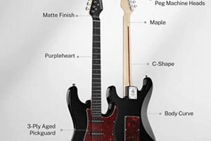 Unleash the Power of Donner: Discoveries in Electric Guitar Mastery - Master the Art of Playing Guitar and Play Like a Pro