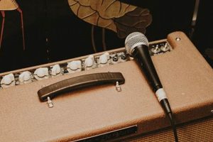 Unleash Hidden Sonic Potential: Microphone Magic Through Guitar Pedals - Master the Art of Playing Guitar and Play Like a Pro