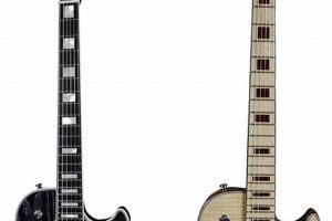 Electra Omega Guitar: Unveiling Unparalleled Versatility and Value - Master the Art of Playing Guitar and Play Like a Pro
