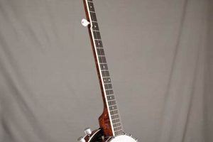 Unlock the Secrets of the Electric Banjo Guitar: Discoveries and Insights - Master the Art of Playing Guitar and Play Like a Pro