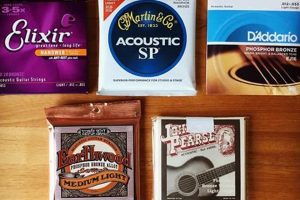 Unveiling the Hidden Gems: Your Guide to the Best Strings for Taylor Acoustic Guitars - Master the Art of Playing Guitar and Play Like a Pro