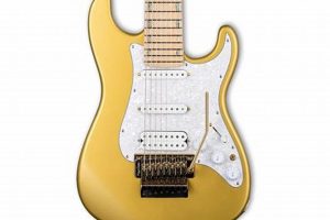 Unleash the Power of the 8-String Guitar with Floyd Rose: A Journey of Discovery - Master the Art of Playing Guitar and Play Like a Pro