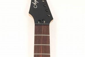 Unveiling the Extraordinary World of 8-String Guitar Necks: Discoveries and Insights - Master the Art of Playing Guitar and Play Like a Pro