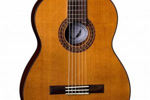 Unveiling the Enchanting World of Cedar Top Acoustic Guitars: Discoveries & Insights - Master the Art of Playing Guitar and Play Like a Pro