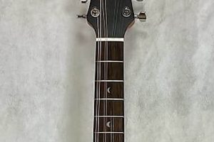 Unveiling the Sonic Wonders of the 8 String Tenor Guitar - Master the Art of Playing Guitar and Play Like a Pro