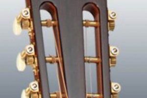 Unveiling the Acoustic Guitar's Secret: Discoveries with Slotted Headstock Master the Art of Playing Guitar and Play Like a Pro Unveiling the Acoustic Guitar's Secret: Discoveries with Slotted Headstock - Master the Art of Playing Guitar and Play Like a Pro