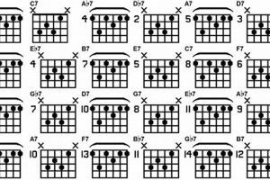 Unveiling the Secrets of Advanced Jazz Guitar Chords: A Harmonic Odyssey - Master the Art of Playing Guitar and Play Like a Pro