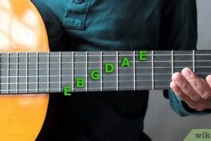 Unveiling the Secrets of Electric Guitar Letters: Discoveries and Insights for Guitarists - Master the Art of Playing Guitar and Play Like a Pro