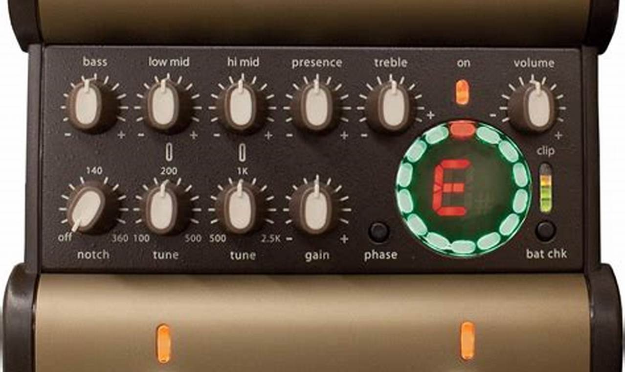 Unlock the Secrets of di Acoustic Guitars: A Journey to Discover Unmatched Sound, Versatility, and Value - Master the Art of Playing Guitar and Play Like a Pro