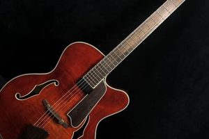 Unveiling the Secrets of Eastman Acoustic Electric Guitars: A Journey of Discovery for Acoustic Enthusiasts - Master the Art of Playing Guitar and Play Like a Pro